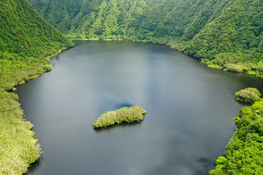 Grand Etang Réunion