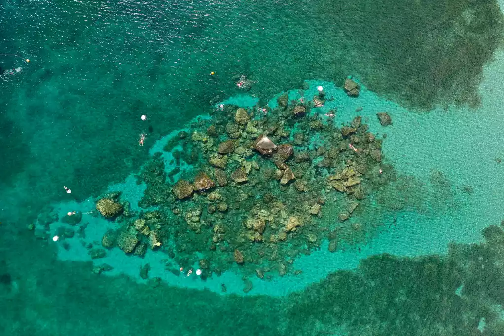 Zone de Snorkeling Anse d'Arlet