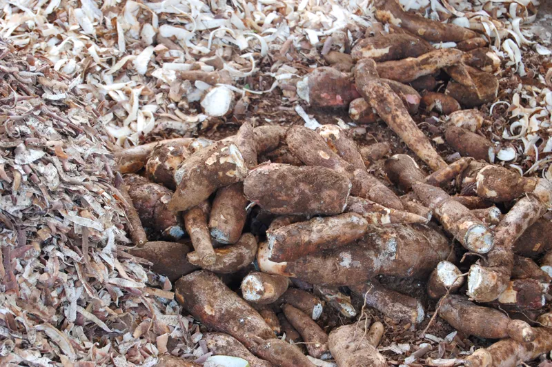 La Case à Manioc Ragald & Fils