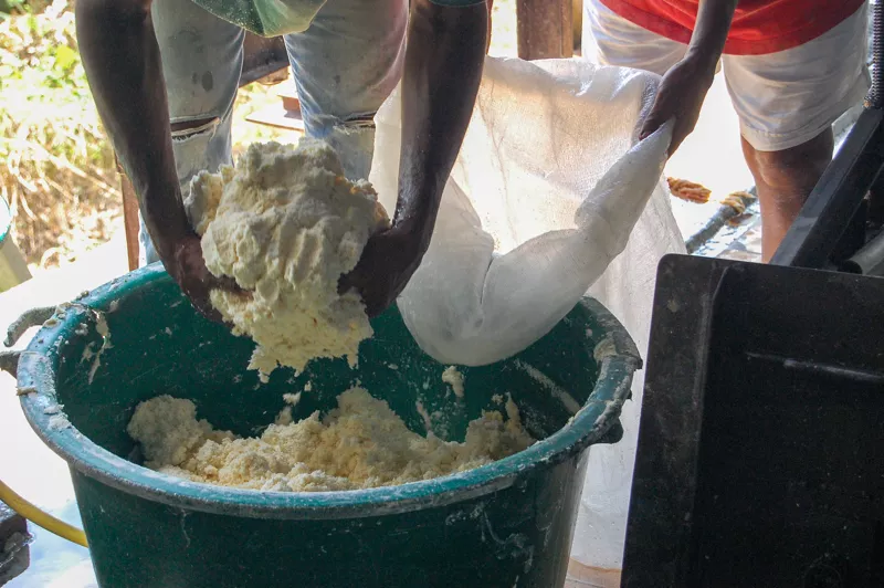 La Case à Manioc Ragald & Fils