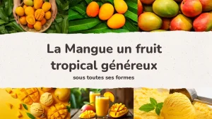 banniere la mangue un fruit genereux