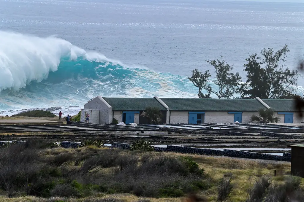 houle australe à la réunion 07
