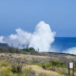 La Houle Australe à la Réunion