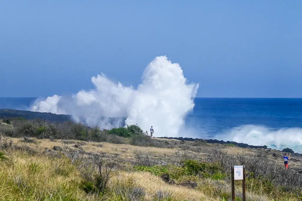 houle australe à la réunion 10