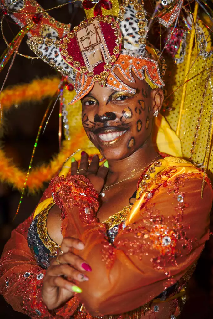 carnaval de guadeloupe 16
