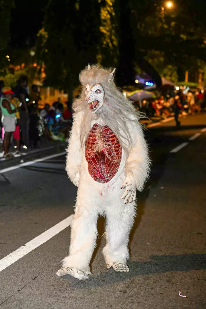 carnaval de guadeloupe 4