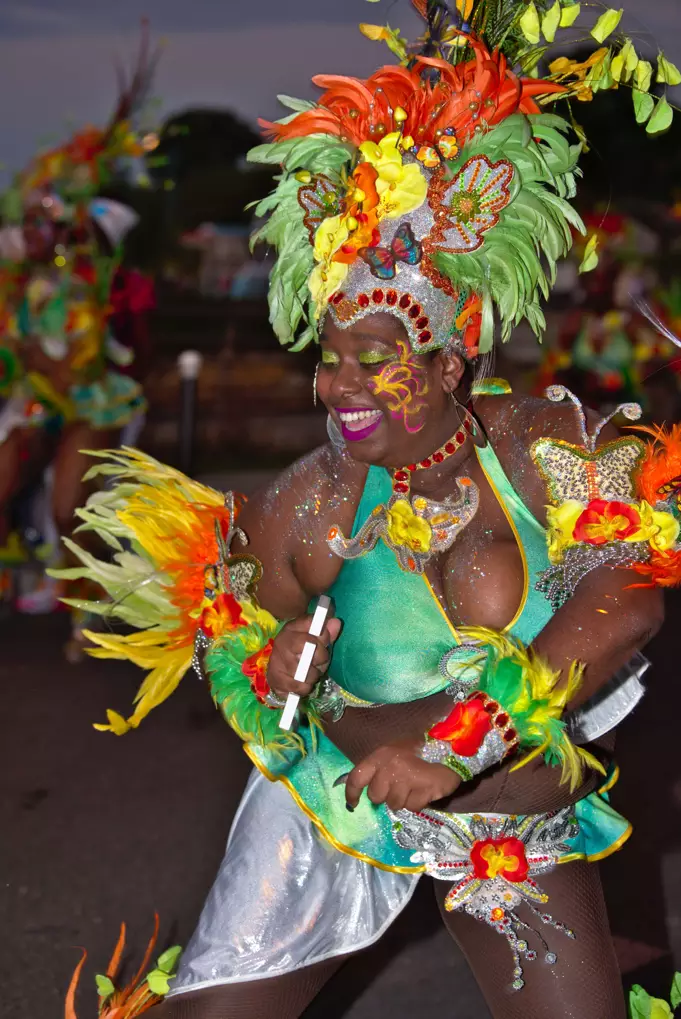 carnaval de guadeloupe