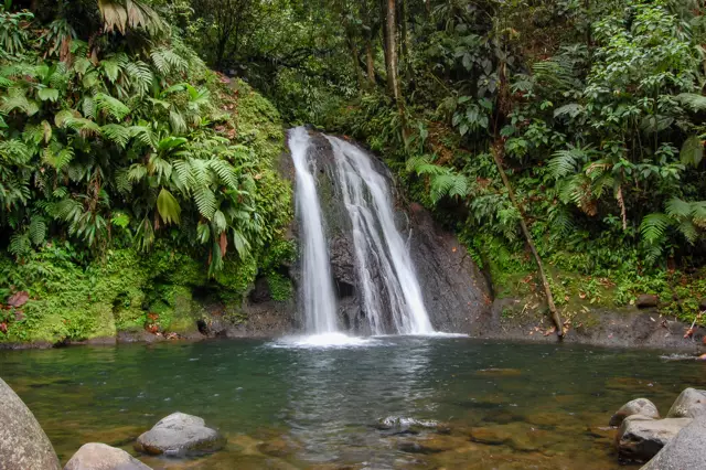 cascade aux écrevisses