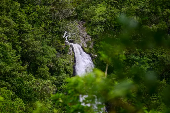 cascade du chien en période de crue
