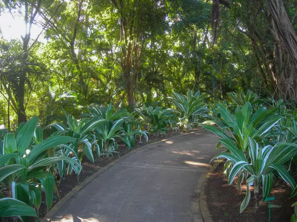 cheminement pmr jardin botanique de deshaies