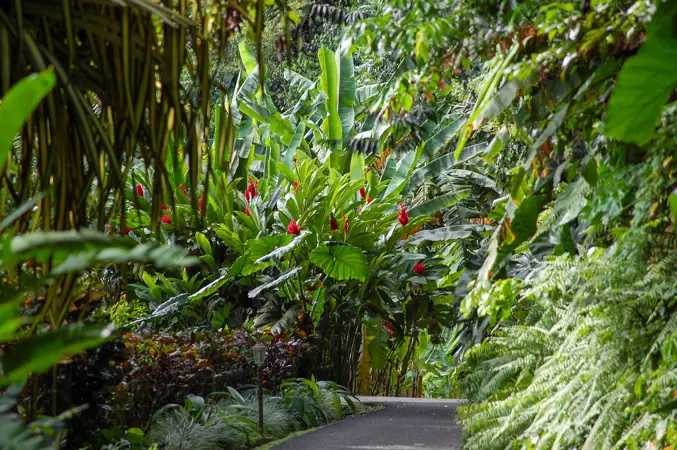 cheminement pmr jardin botanique