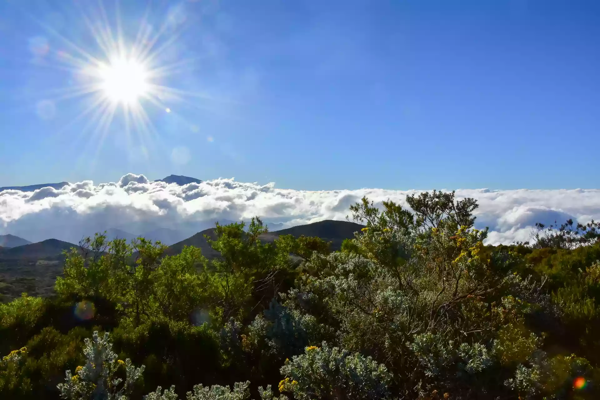 montagne à la réunion