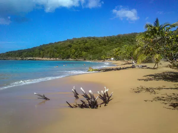 plage et trait de côte