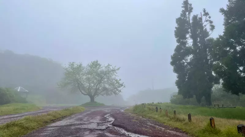 plaine des palmistes sous la pluie et brouillard