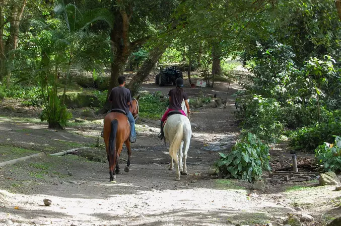 randonnée à cheval