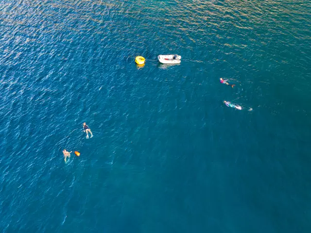 snorkelling carbet