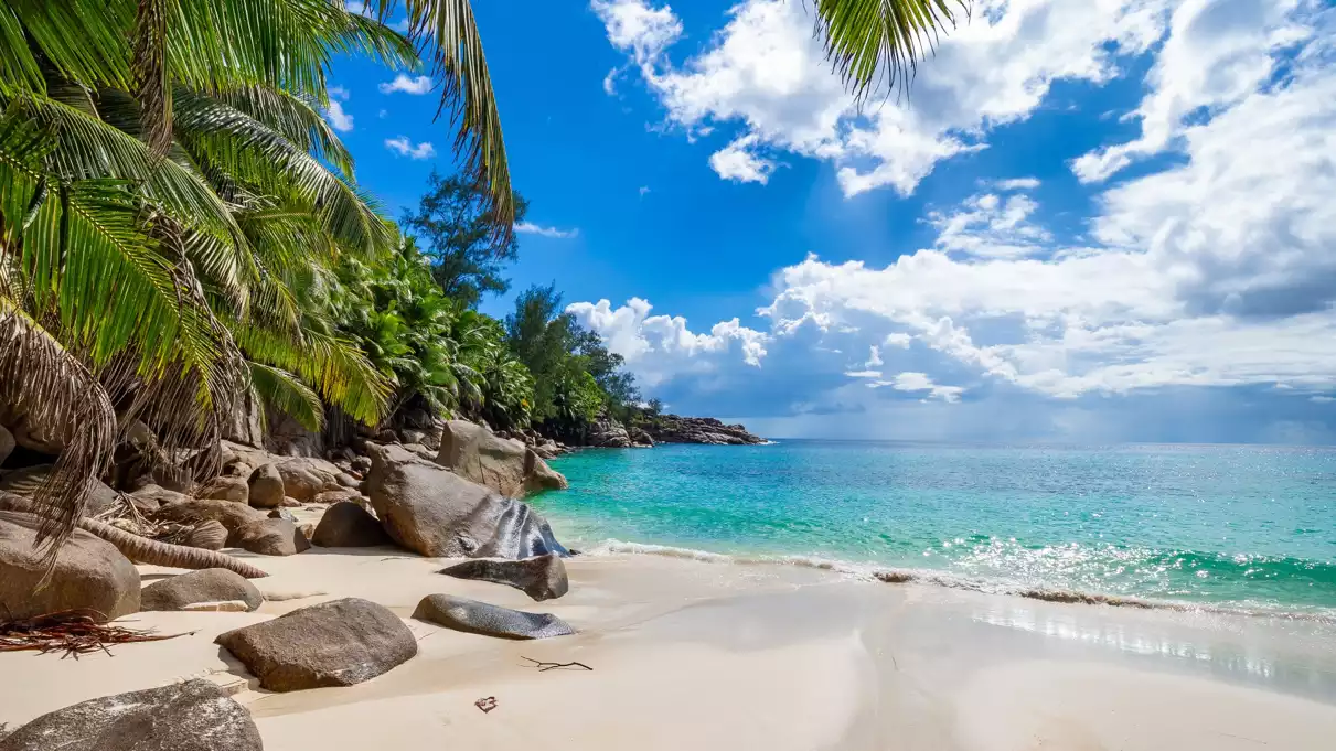 anse intendance