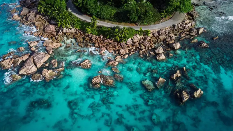 anse severe