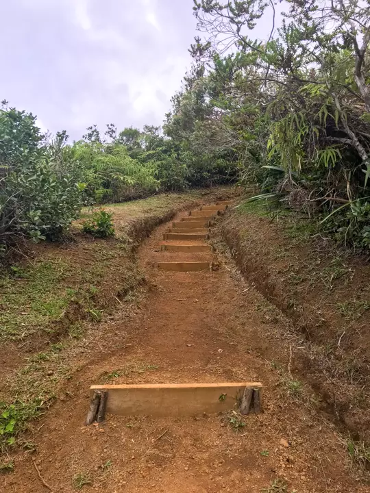 sentier de l'eden