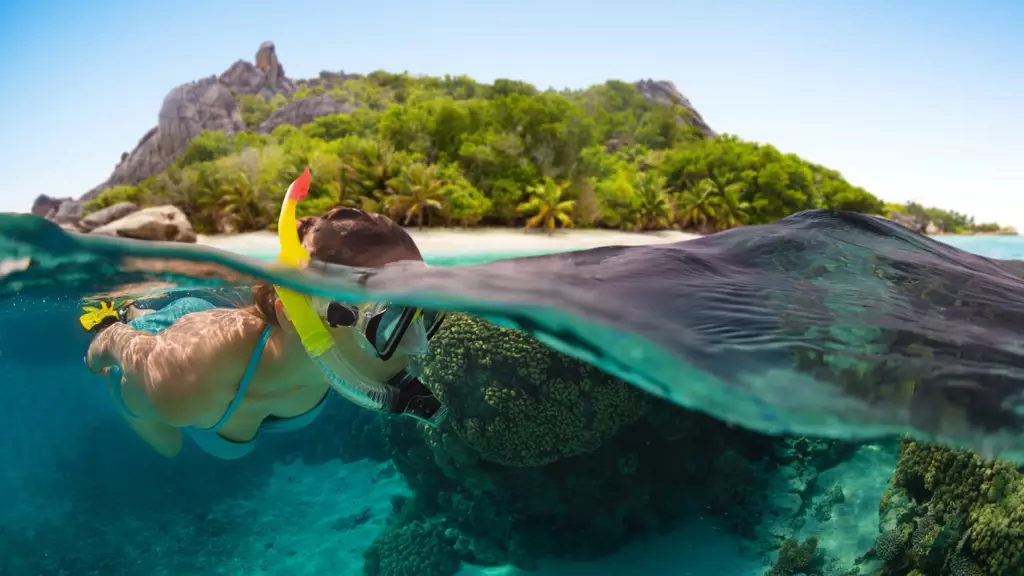snorkeling aux seychelles